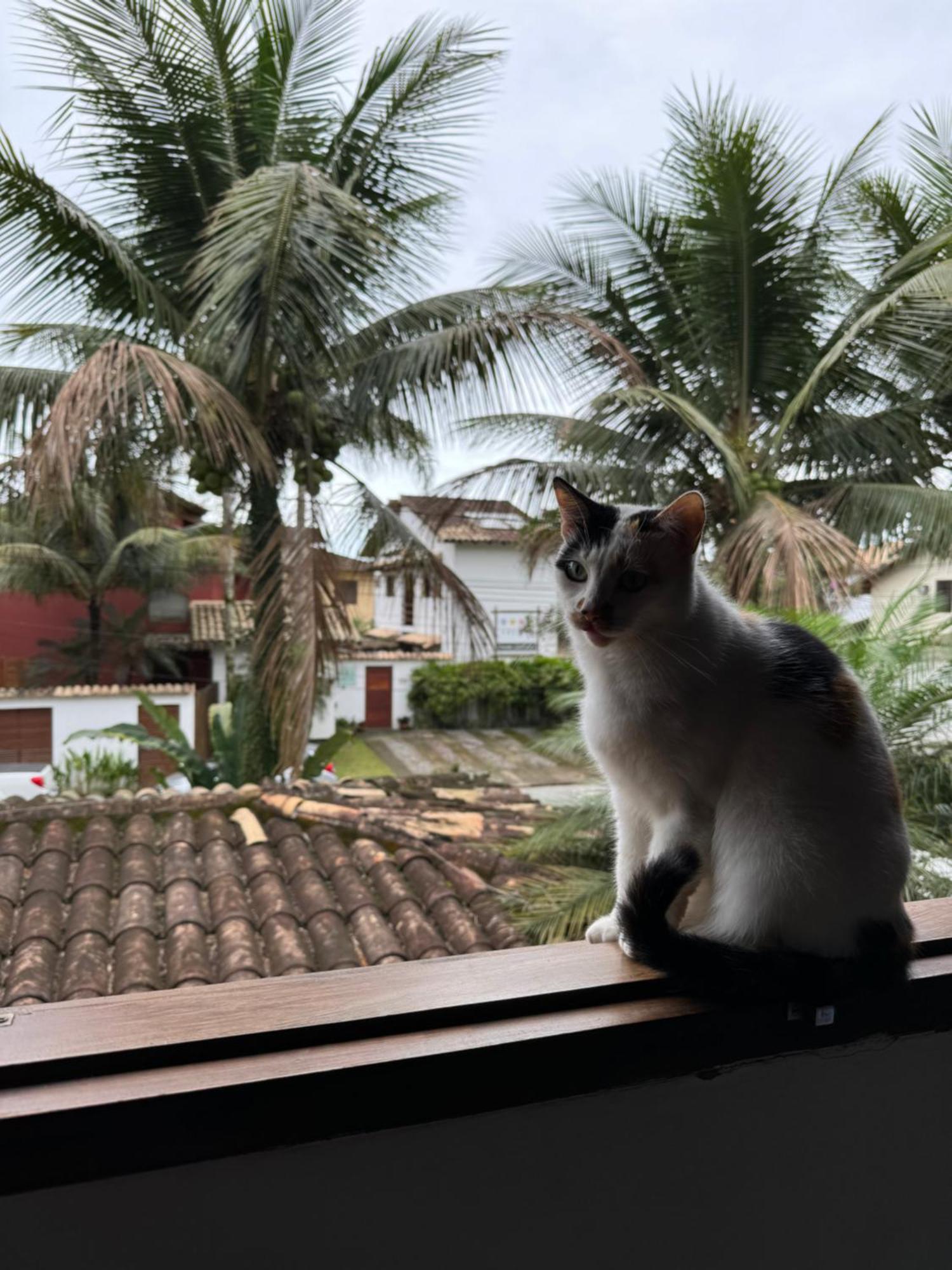 Pouso Sabia Suites Araquari Dış mekan fotoğraf